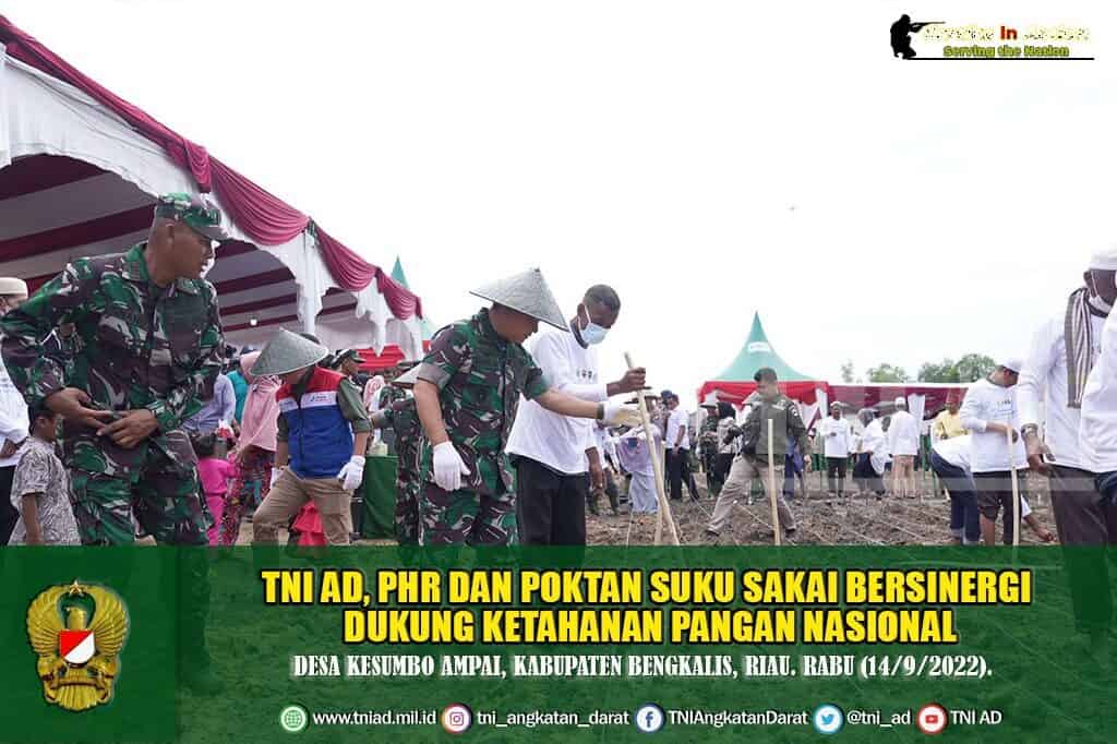 TNI AD, PHR dan Poktan Suku Sakai Bersinergi Dukung Ketahanan Pangan Nasional