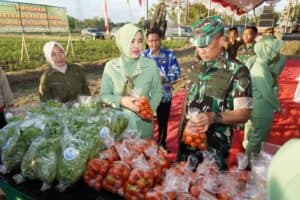 TNI AD Kembangkan Kawasan Usaha Agribisnis Terpadu di Kabupaten Sampang