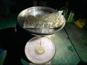Satgas Pamtas Yonif 711/Rks Berhasil Amankan Ganja Saat Patroli Malam di Jalan Trans Wamena
