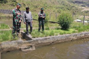 Tingkatkan Kesejahteraan Masyarakat, Satgas Yonif R 301/PKS Kembangkan Budidaya Ikan di Puncak Jaya