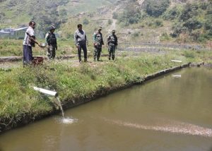 Tingkatkan Kesejahteraan Masyarakat, Satgas Yonif R 301/PKS Kembangkan Budidaya Ikan di Puncak Jaya