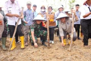 Kodim 0402/OKI Bantu Wujudkan Ketahanan Pangan di Kabupaten OKI