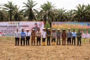 Kodim 0402/OKI Bantu Wujudkan Ketahanan Pangan di Kabupaten OKI