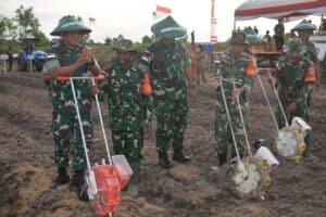 Pangdam XVII/Cenderawasih Tinjau Lokasi Program Ketahanan Pangan Korem 174 Merauke