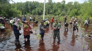 Korem 172/PWY Bersama Mahasiswa Uncen Tanam 500 Mangrove di Pantai Enggros Abepura