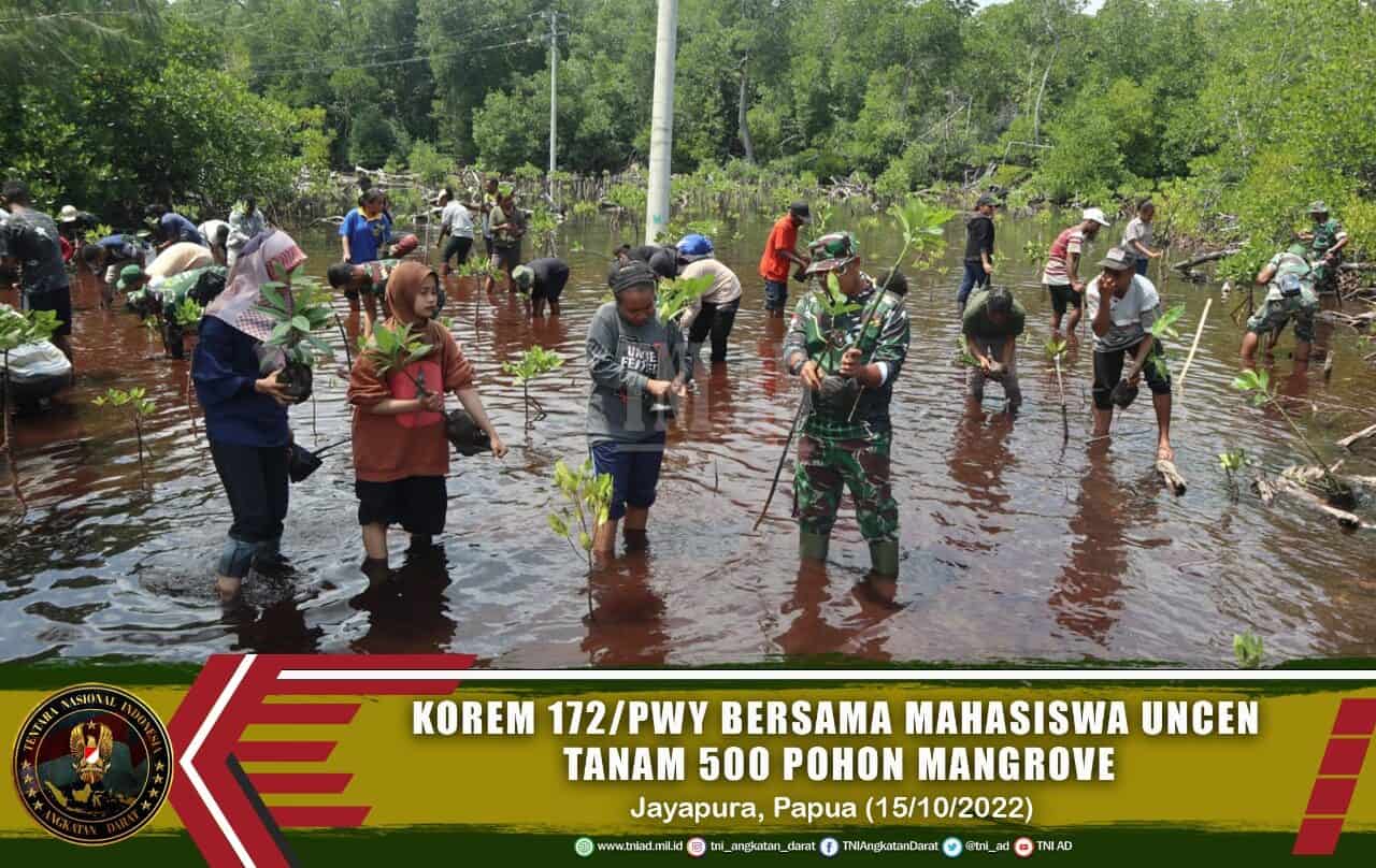 Korem 172/PWY Bersama Mahasiswa Uncen Tanam 500 Mangrove di Pantai Enggros Abepura