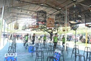 Korem 142/Tatag Gelar Lomba Kicau Mania se Sulawesi Barat