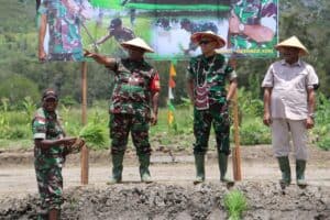 Danrem 172/PWY Tanam Padi Perdana di Kampung Helalua Distrik Assolokobal Kab. Jayawijaya