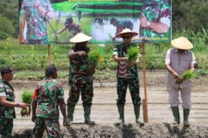 Danrem 172/PWY Tanam Padi Perdana di Kampung Helalua Distrik Assolokobal Kab. Jayawijaya