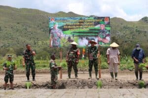 Danrem 172/PWY Tanam Padi Perdana di Kampung Helalua Distrik Assolokobal Kab. Jayawijaya