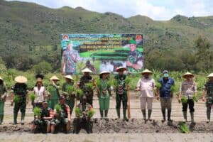 Danrem 172/PWY Tanam Padi Perdana di Kampung Helalua Distrik Assolokobal Kab. Jayawijaya