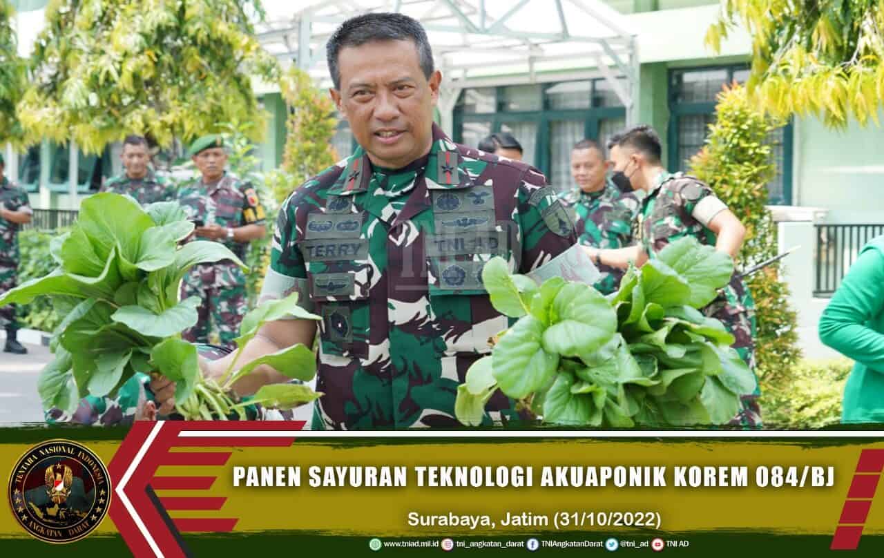 Panen Sayuran Hasil Pengembangan Teknologi Akuaponik Korem 084/BJ