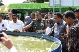 Waspadai Krisis Pangan, Kodam XIV/Hasanuddin Gelar Pelatihan Budidaya Ikan Nila