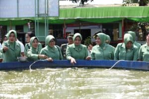 Waspadai Krisis Pangan, Kodam XIV/Hasanuddin Gelar Pelatihan Budidaya Ikan Nila