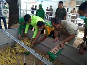 Lorong Wisata Budidaya Perkotaan Yonarmed 6/3 Kostrad Diresmikan