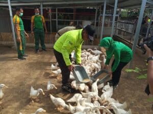 Lorong Wisata Budidaya Perkotaan Yonarmed 6/3 Kostrad Diresmikan