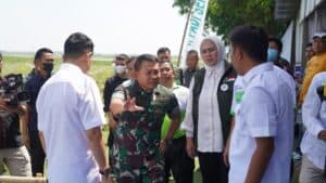 Kasad Panen Raya Padi Unggulan di Karawang