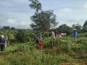 Satgas Yonarmed 19/105 Trk Bogani Bantu Kelompok Tani Wanita Olah Lahan Pertanian