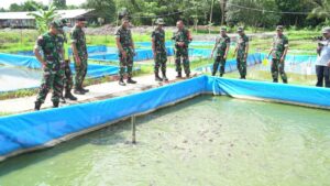 Dandim 0510/Tigaraksa Dampingi Kunker Danrem 052/Wijayakrama Tinjau Kawasan Food Estate Di Desa Serdang Wetan