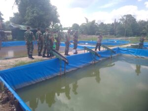 Dandim 0510/Tigaraksa Dampingi Kunker Danrem 052/Wijayakrama Tinjau Kawasan Food Estate Di Desa Serdang Wetan