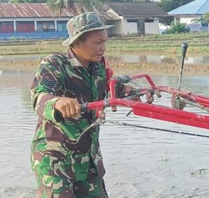 Babinsa Koramil 01/Tirawuta Kodim 1412/Kolaka Turun Langsung Bantu Bajak Sawah Warga