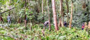 Satgas Pamtas Yonif 645/Gty Bersama Warga Karya Bakti Pembersihan Lahan Adat di Perbatasan