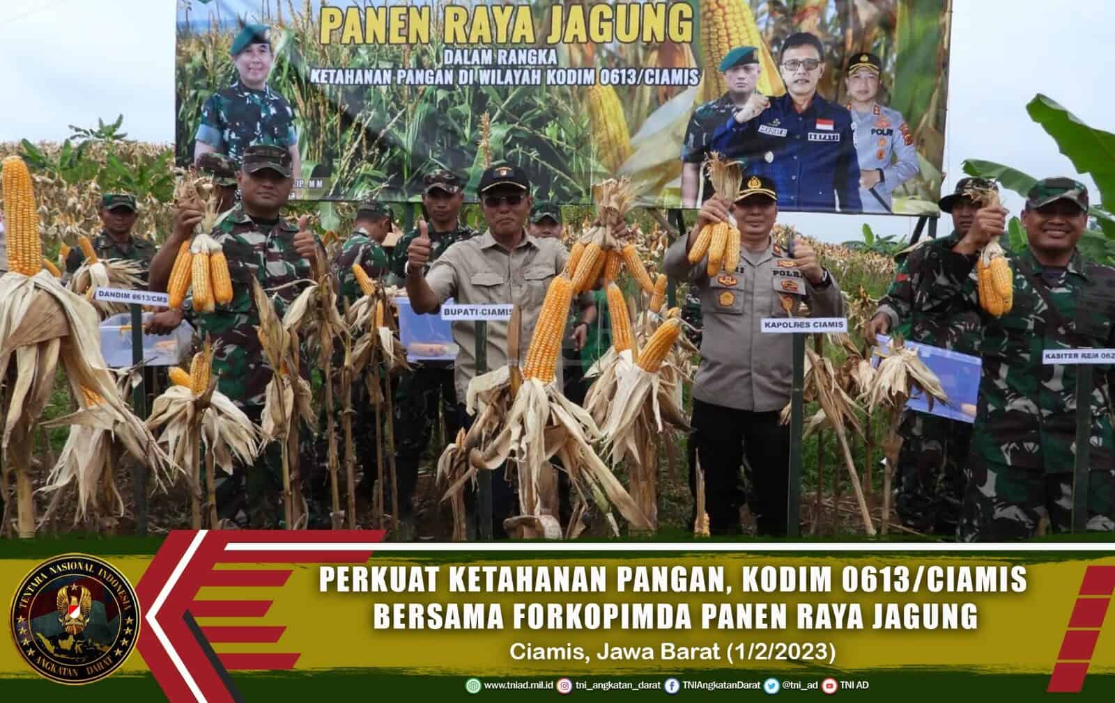 Perkuat Ketahanan Pangan, Kodim 0613/Ciamis bersama Forkopimda Panen Raya Jagung