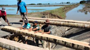 Babinsa Kembang Tanjong Bersama Warga Bangun Jembatan Darurat Pasca Banjir