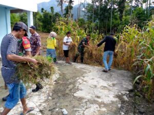 Kerja Bakti Babinsa Pos Ramil Lawe Sumur Bersama Jemaat Bersihkan Lingkungan Gereja HKI