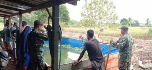 Dukung Ketahanan Pangan, Satgas Pamtas RI-PNG Yonif 511/DY Budidaya Ikan Nila Bersama Masyarakat