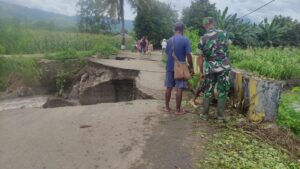 Dandim 1625/Ngada Tinjau Puluhan Hektar Sawah yang Terendam Banjir