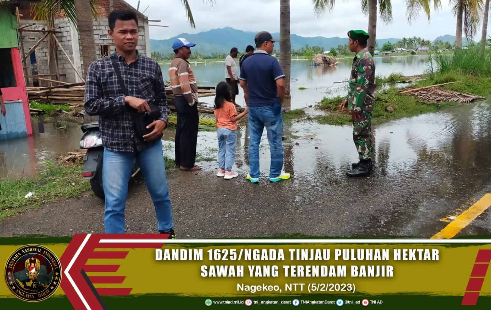 Dandim 1625/Ngada Tinjau Puluhan Hektar Sawah yang Terendam Banjir