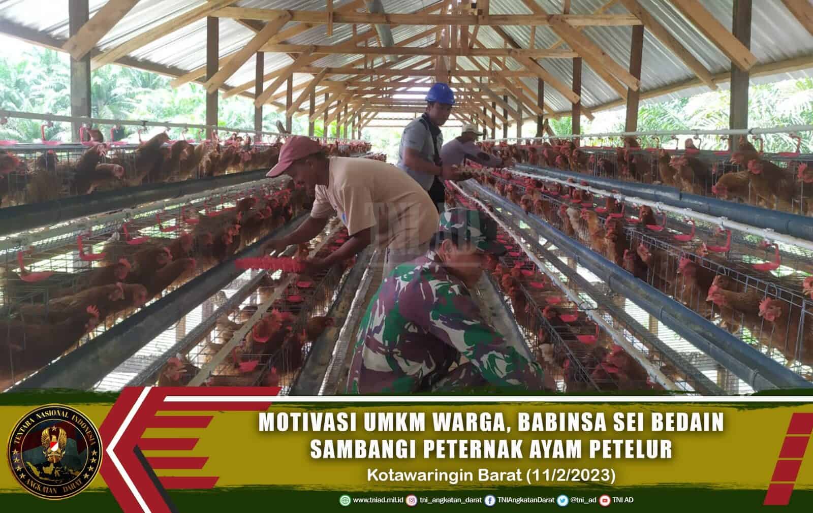 Motivasi UMKM Warga, Babinsa Sei Bedaun Sambangi Peternak Ayam Petelur