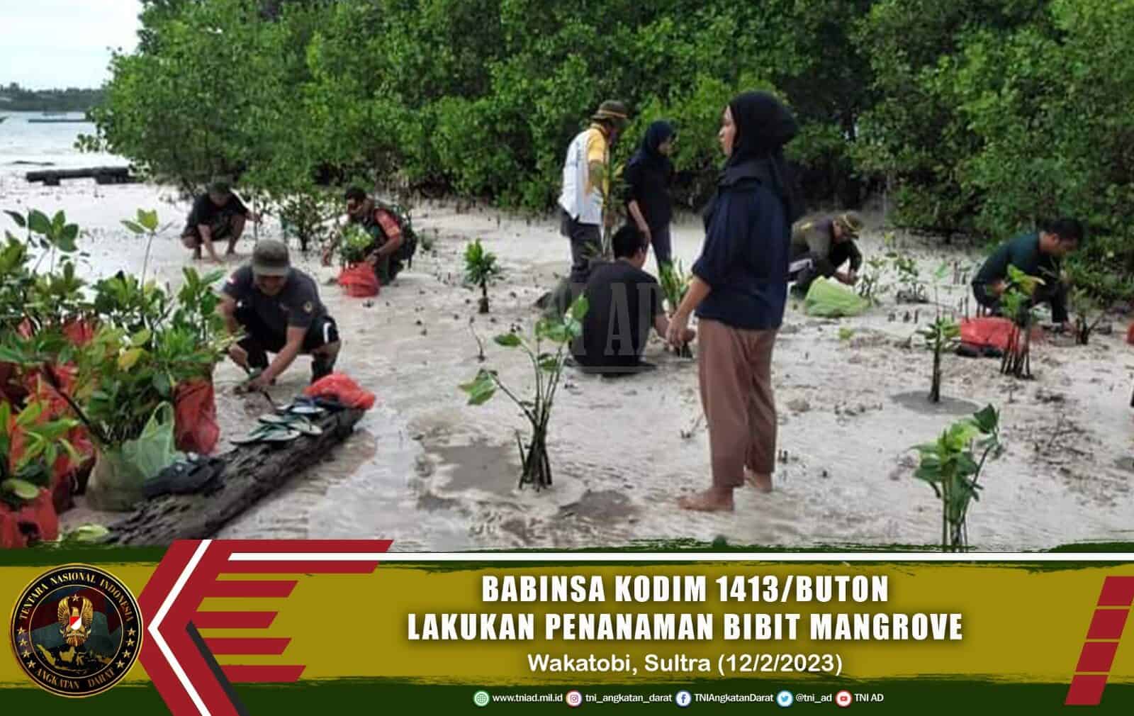 Babinsa Kodim 1413/Buton Lakukan Penanaman Bibit Pohon Mangrove Bersama Pemuda-Pemudi Wakatobi