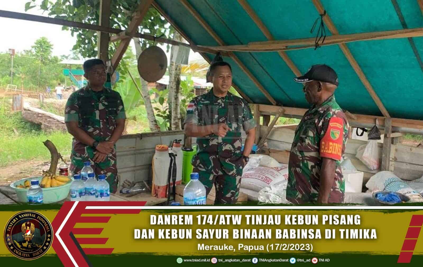 Danrem 174/ATW Tinjau Kebun Pisang dan Kebun Sayur Binaan Babinsa di Timika