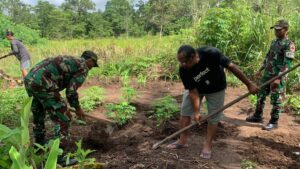 Tingkatkan Ekonomi Warga, Satgas Yonif 511/DY Bagikan Bibit Sayur Di Papua