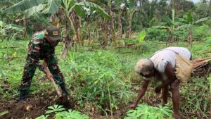 Tingkatkan Ekonomi Warga, Satgas Yonif 511/DY Bagikan Bibit Sayur Di Papua