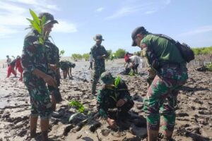 Kodim 1203/Ketapang Bersama Tim Ketapangku Hijau Laksanakan Penanaman Mangrove