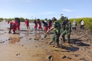 Kodim 1203/Ketapang Bersama Tim Ketapangku Hijau Laksanakan Penanaman Mangrove