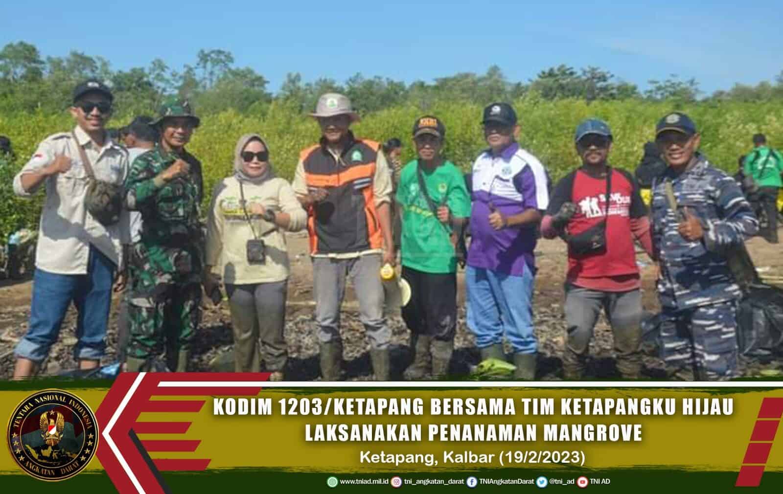 Kodim 1203/Ketapang Bersama Tim Ketapangku Hijau Laksanakan Penanaman Mangrove