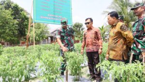 Dandim 0303/Bengkalis Kunker ke Meranti, Apresiasi Babinsa Kreatif Tanam Cabai Tingkatkan Perekonomian Warga