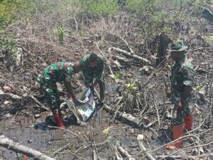 Jaga Kelestarian Alam, Babinsa Koramil Waropen Bawah Tanam Bibit Mangrove