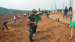 Pangdam III/Slw Bersama Wamentan Tanam Jagung di Kebun Dodiklatpur Rindam III/Slw
