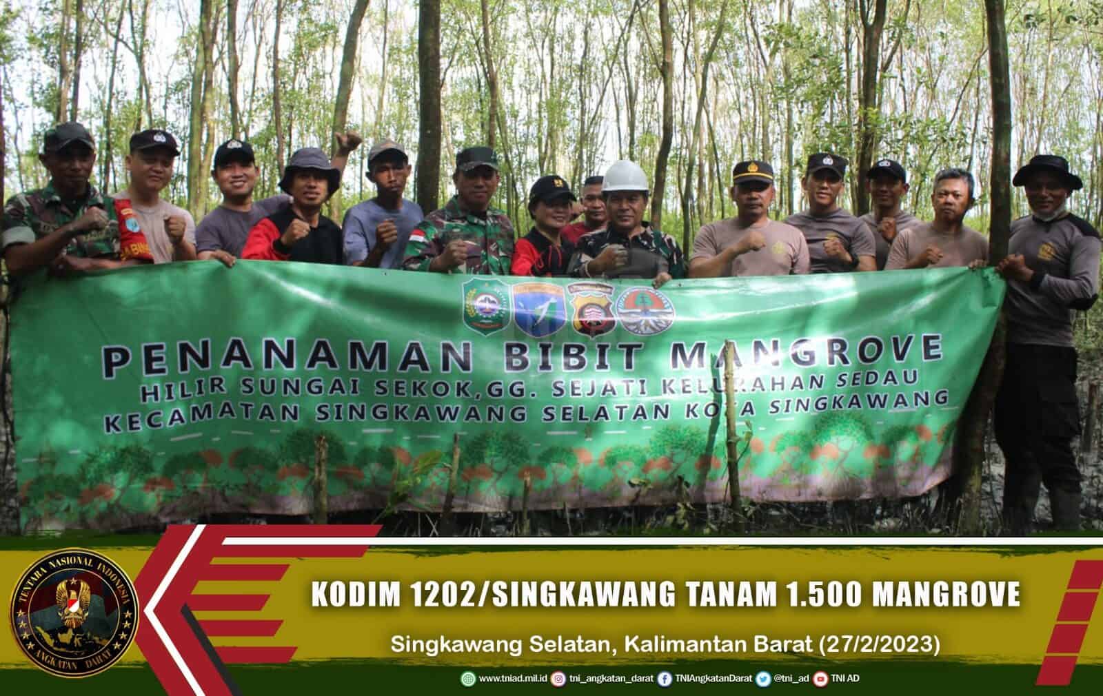 Kodim 1202/Singkawang Tanam 1.500 Mangrove