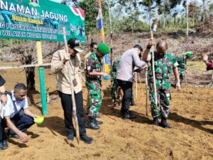 Dukung Ketahanan Pangan, Kodim 1708/BN Tanam Jagung