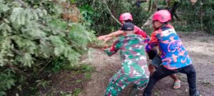 Serda Harun dan BPBD Kabupaten Hulu Sungai Tengah Serta Relawan Evakuasi Pohon Tumbang.