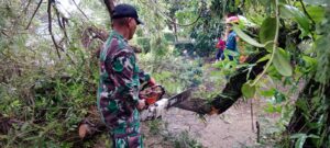 Serda Harun dan BPBD Kabupaten Hulu Sungai Tengah Serta Relawan Evakuasi Pohon Tumbang.