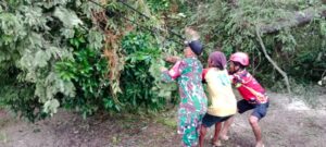 Serda Harun dan BPBD Kabupaten Hulu Sungai Tengah Serta Relawan Evakuasi Pohon Tumbang.