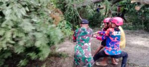 Serda Harun dan BPBD Kabupaten Hulu Sungai Tengah Serta Relawan Evakuasi Pohon Tumbang.