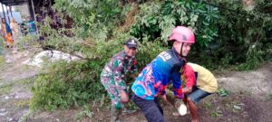 Serda Harun dan BPBD Kabupaten Hulu Sungai Tengah Serta Relawan Evakuasi Pohon Tumbang.